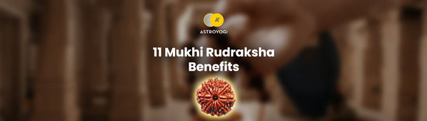 11 Mukhi Rudraksha Benefits,Wearing Rules and Combinations