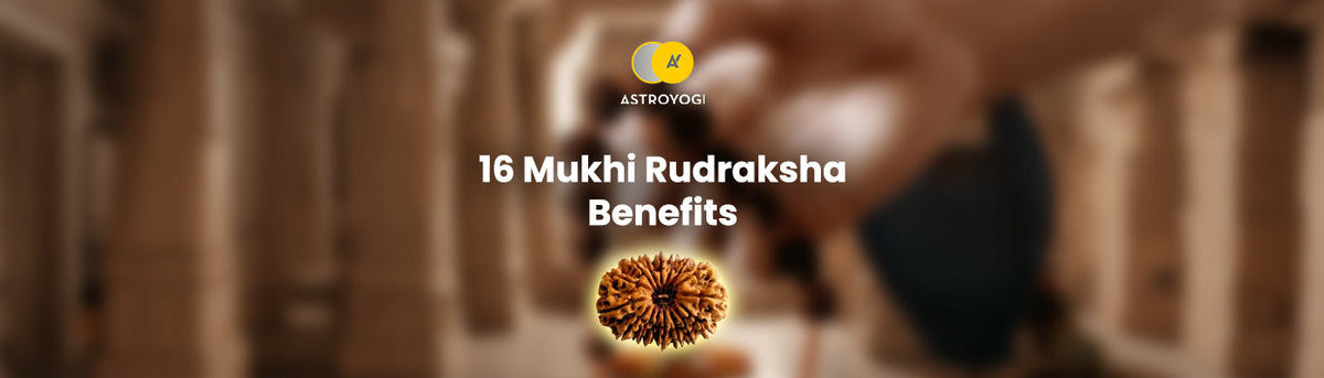 16 mukhi rudraksha benefits