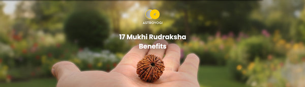17 Mukhi Rudraksha Benefits, Significance & Wearing Guide