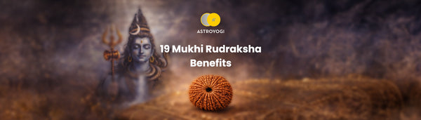 19 Mukhi Rudraksha Benefits, Significance & Wearing Guide