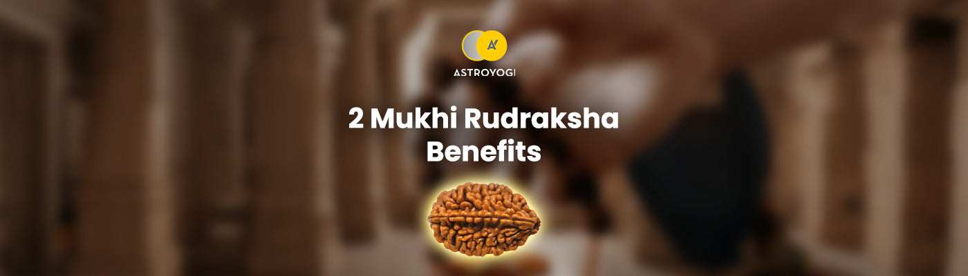 2 Mukhi Rudraksha Benefits