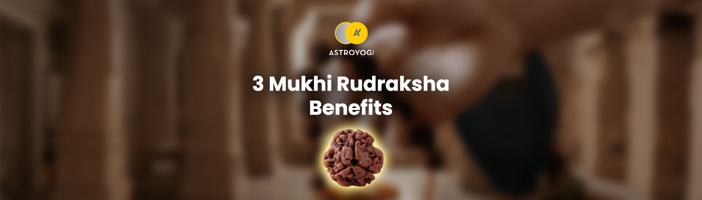 3 Mukhi Rudraksha Benefits, Wearing Rules and Combination