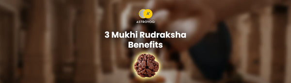 3 Mukhi Rudraksha Benefits, Wearing Rules and Combination
