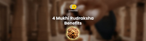 4 Mukhi Rudraksha Benefits, Wearing Rules and Combination