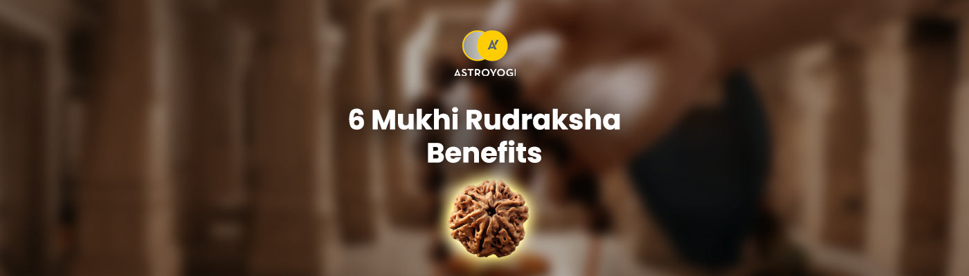 6 mukhi rudraksha benefits image