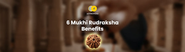 6 Mukhi Rudraksha Benefits, Wearing Rules and Combinations
