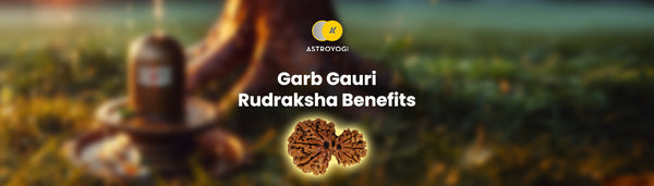 Garbh Gauri Rudraksha Benefits, Significance & Wearing Guide