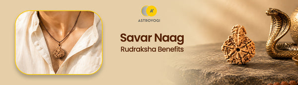 Savar Naag Rudraksha Benefits, Significance & Wearing Guide