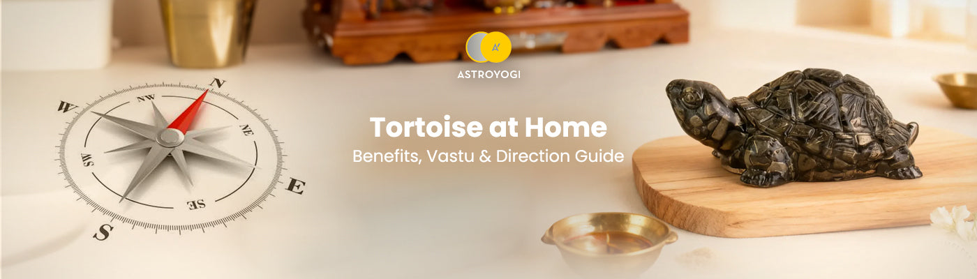 Tortoise at Home: Meaning, Benefits, Vastu & Direction Guide