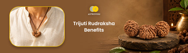 Trijuti Rudraksha Benefits, Meaning & Wearing Guide