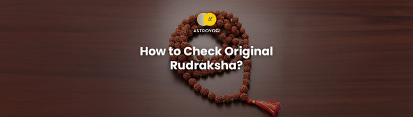 How to Identify Original Rudraksha?