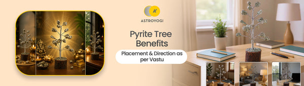 Pyrite Tree Benefits, Placement & Direction as per Vastu: Complete Guide