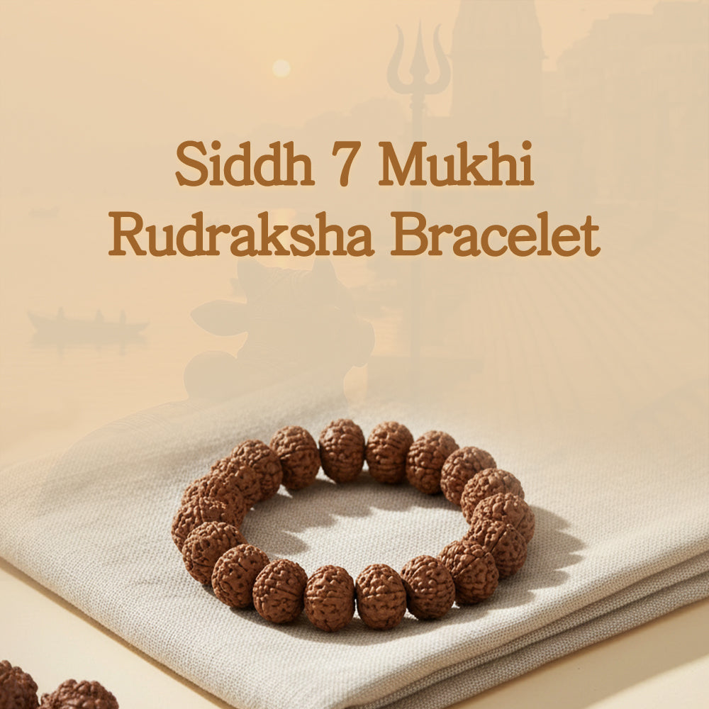 Siddh 7 Mukhi Rudraksha Bracelet
