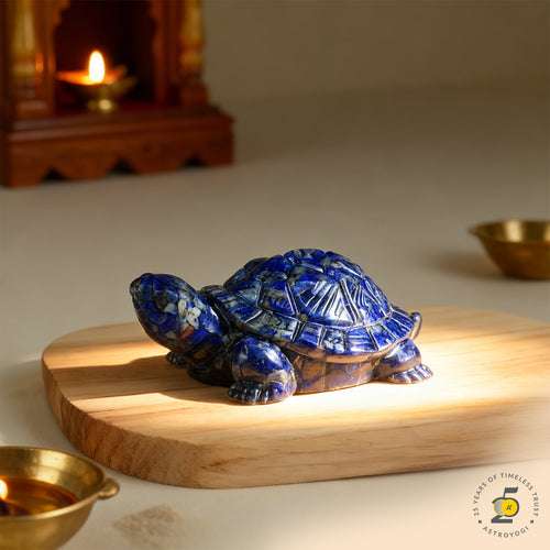 Lapis Lazuli Tortoise