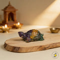Vastu Dhan Yog Tortoise
