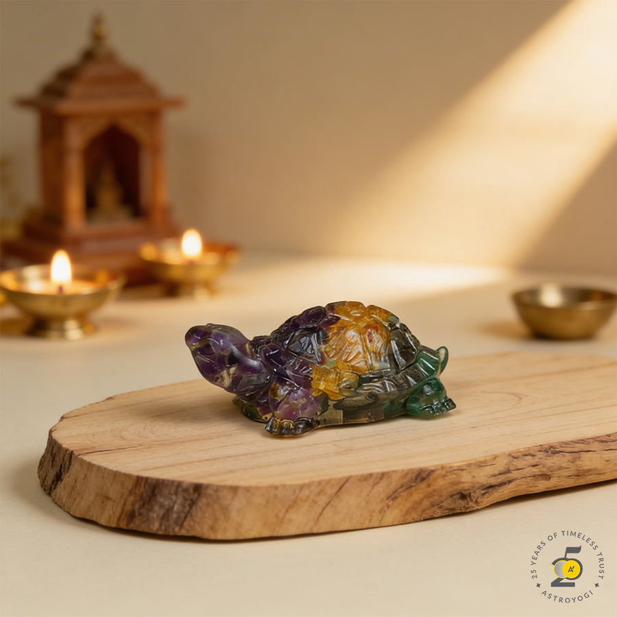 Vastu Dhan Yog Tortoise