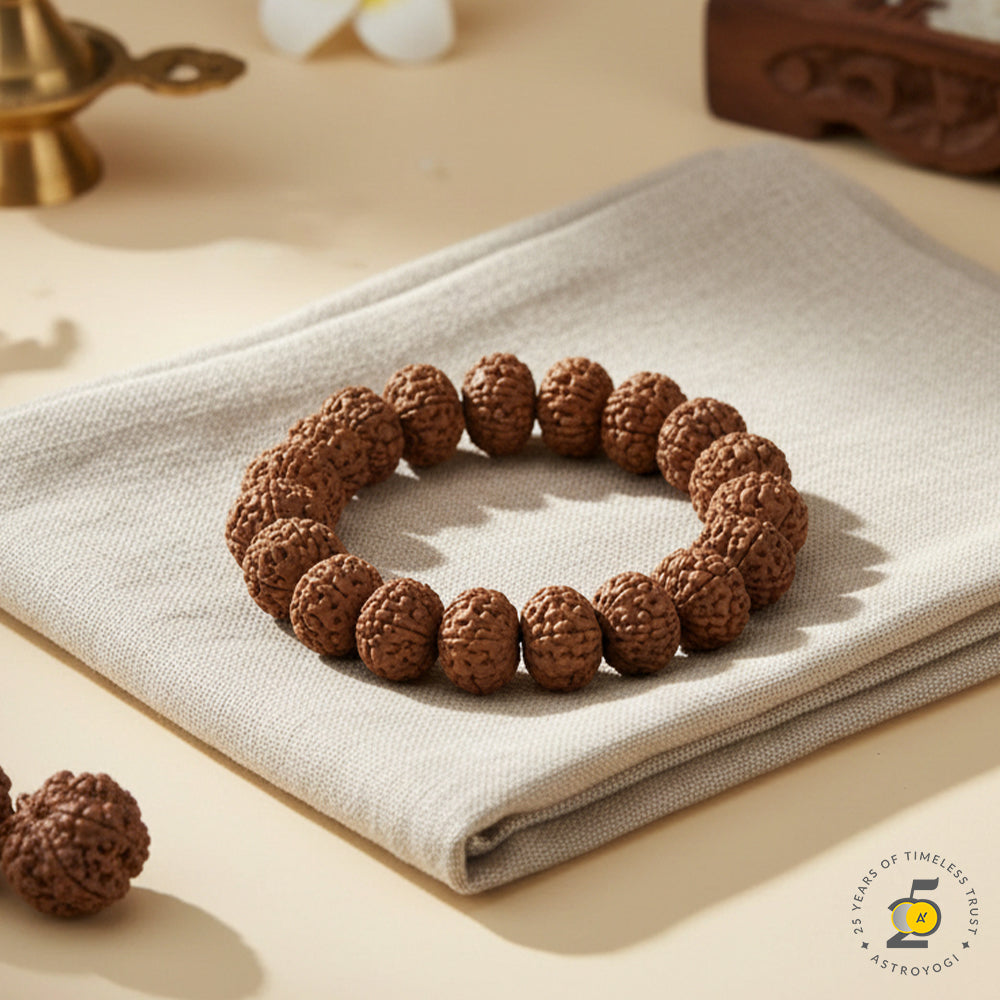 Siddh 7 Mukhi Rudraksha Bracelet