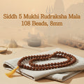 Siddh 5 Mukhi Rudraksha Mala - 108 Beads, 8mm