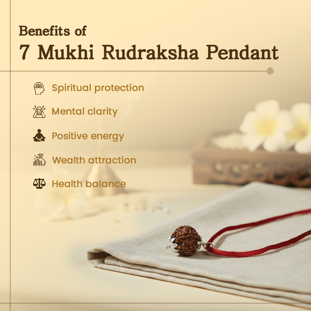 7 Mukhi Rudraksha Pendant