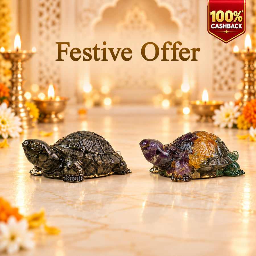 Pyrite Tortoise & Dhan Yog Tortoise Combo