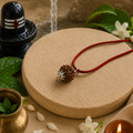5 Mukhi Rudraksha Pendant