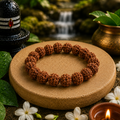 7 Mukhi Rudraksha Bracelet