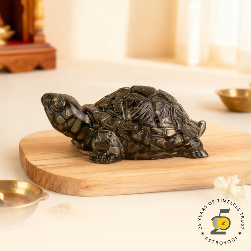 Pyrite Tortoise (Kachhua) for Money, Protection & Vastu