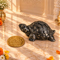 Tortoise & Kuber Coin Wealth Attraction Set