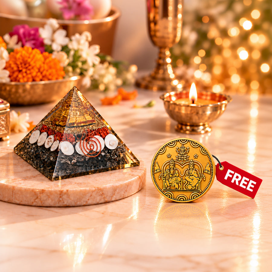 Gomti Chakra Pyramid with pyrite and free coin
