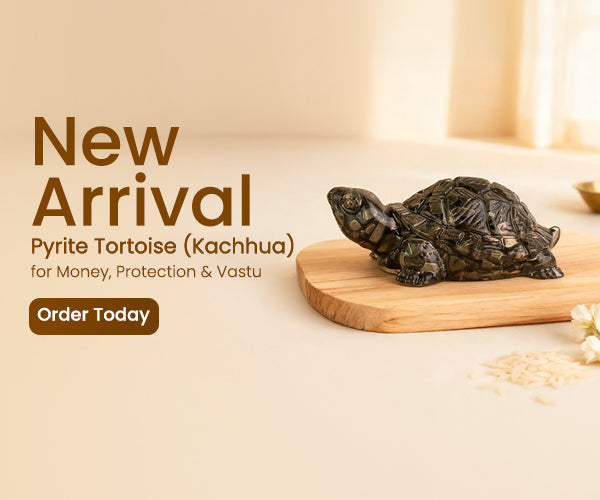 Pyrite Tortoise (Kachhua) for Money, Protection & Vastu