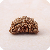 1 Mukhi