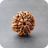 2 Mukhi