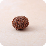 4 Mukhi