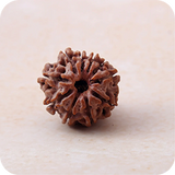 3 Mukhi