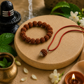 Sawan Special 7 Mukhi Rudraksha bracelet and Pendant