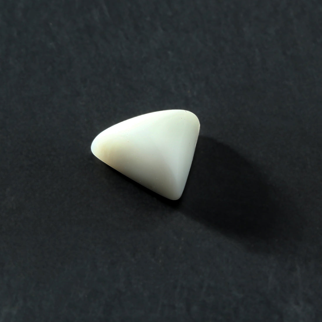 White Coral - Triangular